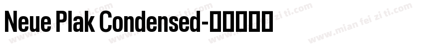 Neue Plak Condensed字体转换